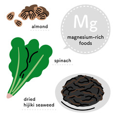 マグネシウムを多く含む食品　イラストセット（英語ver.）