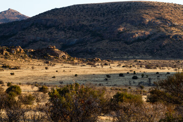 Mountain Zebra National Park, South Africa: general view of the scenery giving an idea of the...