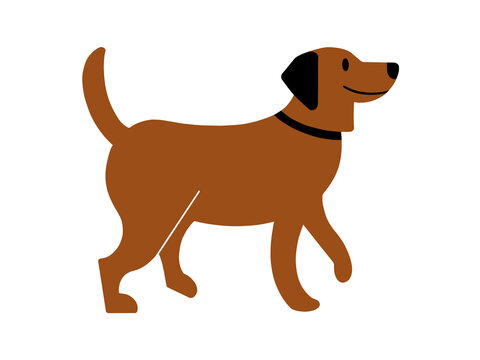 cute dog cartoon. illustration of brown medium size dog on white background. happy pet profile