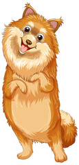 Pomeranian dog cartoon on white background