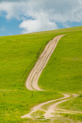 A road on green grassland during summer time.