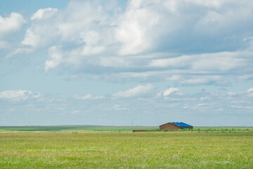 The summer landscape of the grassland in Hulunbuir, Inner Mongolia, China.