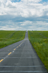 Fototapeta premium A road on green grassland during summer time.