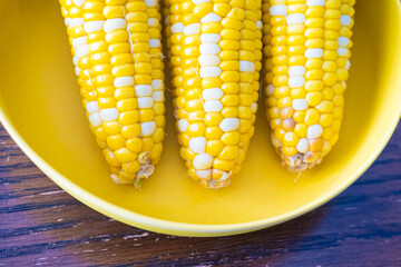 Boiled tasty corn on the Cob ready to eat