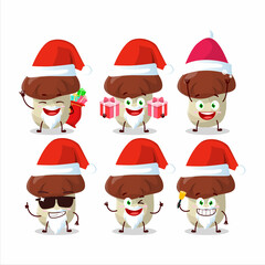 Santa Claus emoticons with bolete cartoon character