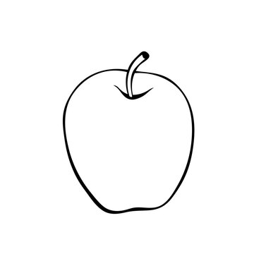 Vector simple contour apple in doodle style. Hand-drawn isolated fruit.