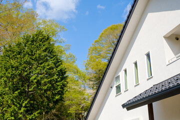 漆喰と大屋根の家