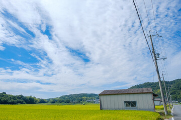 水田の広がる農村と青空　京都府木津川市