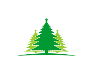 Obraz premium Green pine tree vector illustration logo