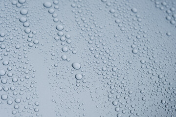 車の塗装にはじかれた水滴　ワックス　雨