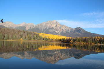 Autumn On The Lake, Jasper National Park, Alberta