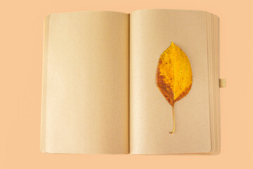 Blank open diary (notebook, sketchbook) with fall leafs. Concept of writing letter, wishes, goals, plans, life story. Autumn composition herbarium.