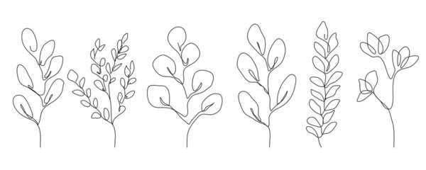 Set of Botanical Line Art Of Flowers, Leaves, Plants. Floral Hand Drawn Sketch Outline Drawing Leaves and Flowers Isolated on White Background. Vector EPS 10