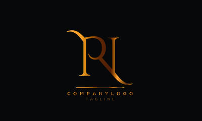 Abstract Letter Initial NP PN Vector Logo Design Template