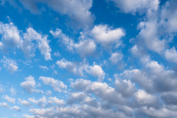 Fototapeta premium white clouds in the blue sky, cumulus,