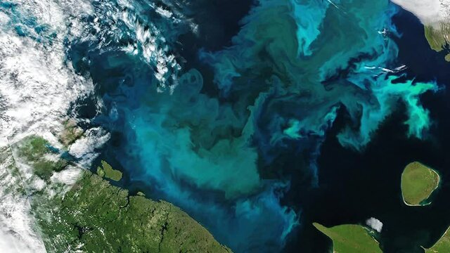 Phytoplankton blooms waves moving on water surface, aerial satellite view animation of Barents Sea. Contains images furnished by Nasa