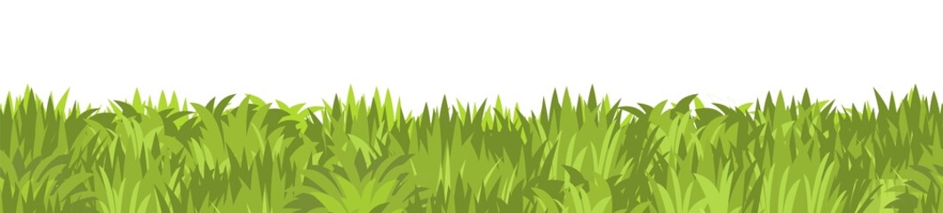 Lawn. Seamless illustration. Grass close-up. Green summer landscape. Rural pasture meadow. Cartoon style. Flat design. Isolated on white background. Vector art