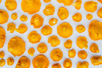 Fresh yellow delicious wavy vegetarian chanterelle mushrooms with beautiful texture on white background conceptual of the autumn or fall season 