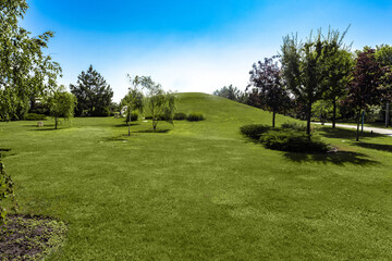 Summer landscape with green lawn and hill surrounded by trees