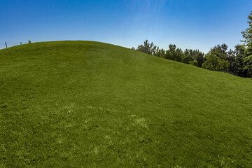 Neatly mowed green grass on hillside on sunny summer day