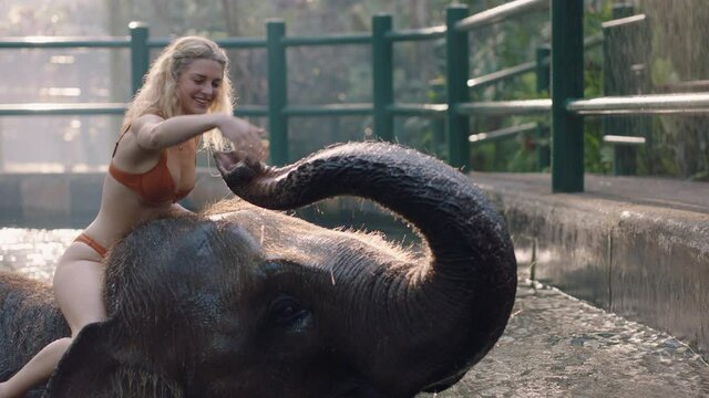beautiful woman riding elephant in zoo playing in pool spraying water female tourist having fun on exotic vacation in tropical forest sanctuary