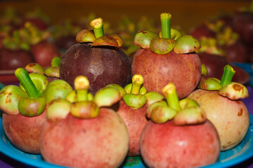 mangosteen