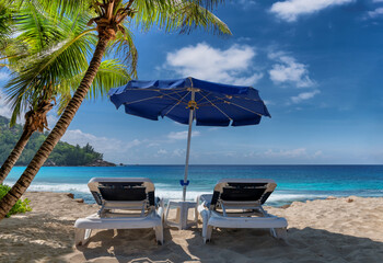 Beach umbrella and sunbeds under coconut palm trees in tropical beach and sea.