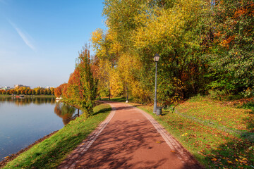 Spectacular autumn view of alley near pond in sunny day in autumn park. Autumn landscape.