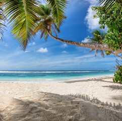 Coco palms on tropical beach and blue ocean in Caribbean island. Summer vacation and tropical beach concept.
