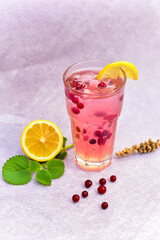 Cranberry juice with a slice of lemon and mint leaves