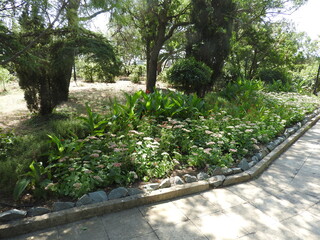 garden in the garden