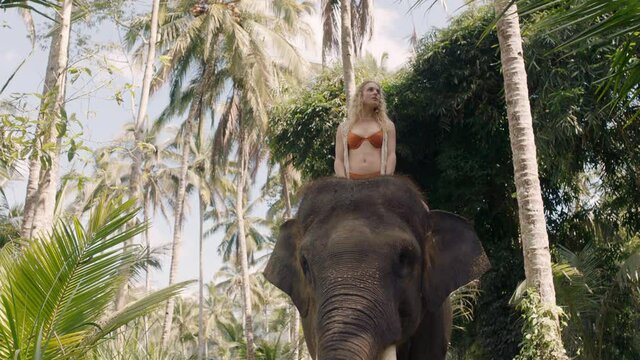 beautiful woman riding elephant in jungle exploring exotic tropical forest having fun adventure with animal companion 4k