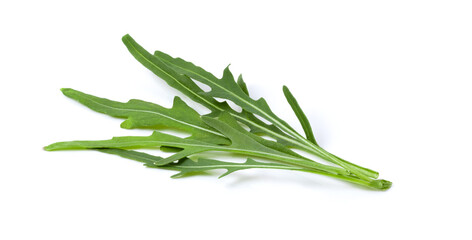 wild rocket leaves isolated on white
