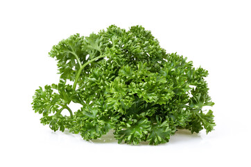 Fresh Parsley isolated on white