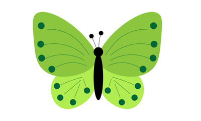 Butterfly vector design for print or use as poster, card, flyer or T Shirt