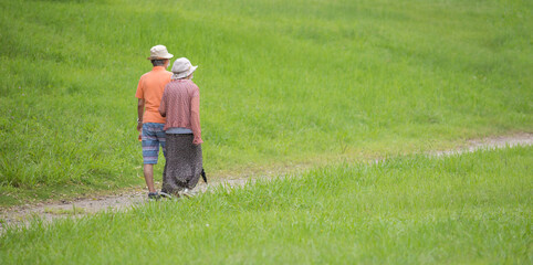 Naklejka na ściany i meble 夏の公園で散歩しているシニア夫婦の姿