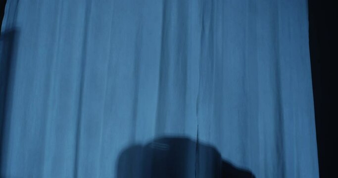 Shadow of the Murderer Killing its Pray with a Knife at Night
