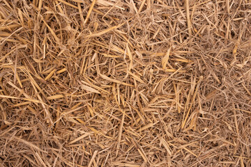 Autumn nature abstract background. Straw.