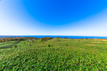 Fototapeta premium 秋の知床峠