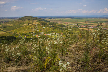 A small town at the foot of the mountains. Village in a valley between the mountains. View from the mountain to the valley in summer. Rural landscape. Red roofs of houses. Carpathian, Ukraine, Europe