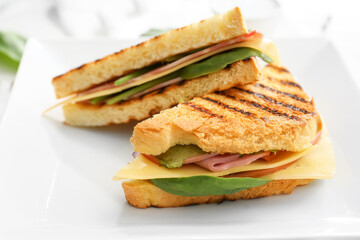 Plate with tasty sandwiches, closeup