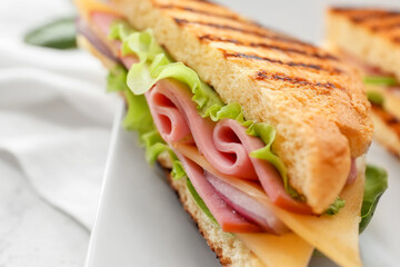 Plate with tasty sandwich on light background, closeup