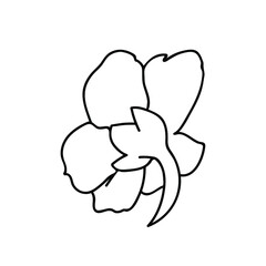 One Vector Botanical Illustration Nasturtium with black line on white background.Floral,Summer hand drawn doodle style picture.Designs for packaging,social media,web,cards, posters,invitations.