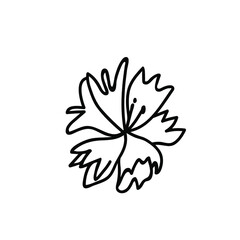 One Vector Botanical Illustration Cornflower with black line on white background.Floral,Summer hand drawn doodle style picture.Designs for packaging,social media,web,cards, posters,invitations.