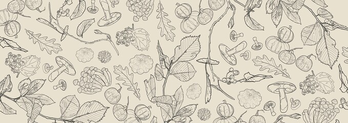 Banner with pumpkins, mushrooms, berries and leaves. Autumn elements on a gray background. Outline drawing.