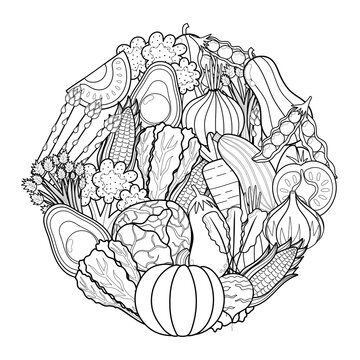 Doodle vegetables circle shape pattern for coloring book. Food mandala coloring page. Black and white print with pumpkin, tomato, cabbage, avocado and other. Vector illustration