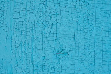 Shabby blue painted wooden wall or board with cracked paint, close-up, textured.