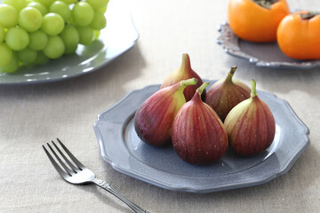 秋のフルーツ　いちじく　無花果　和歌山県産