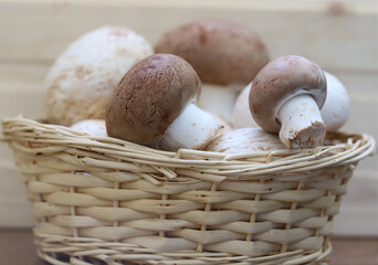 mushrooms