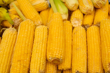 Fresh yellow corn for sale at farmers market